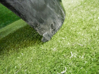 DSCN3071.jpg
