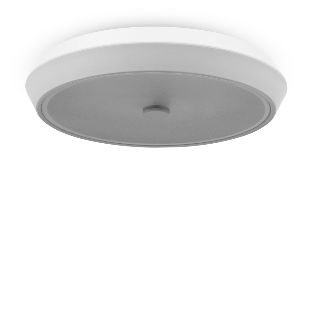 Потолочный светильник Freya FR10012CL-L24W