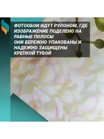 Фотообои на стену Свисающие орхидеи 400х270см