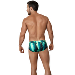 Зеленые плавки-брифы с принтом Torry Verde Swimsuit Brief (Размер: S) (Цвет: зеленый)