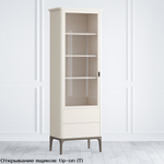 Шкаф книжный малый 2 ящика L Pr029LC