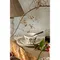 Тарелка owl из коллекции birds of paradise, D21 см