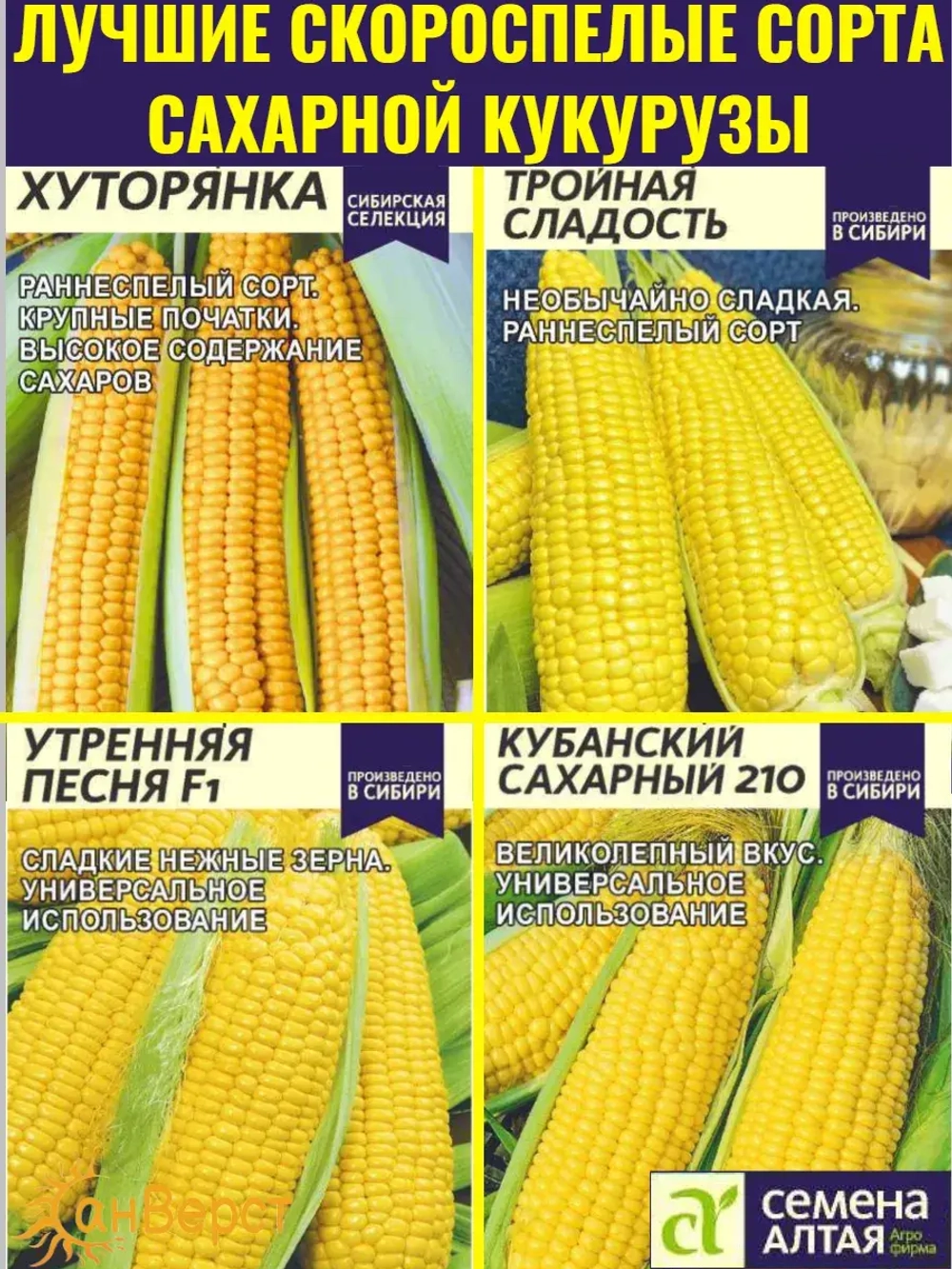 Семена сахарной кукурузы. Набор скороспелых сортов