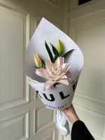 Кулек из пионовидной лилии