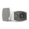 CVGAUDIO ODF416TW настенная акустическая система