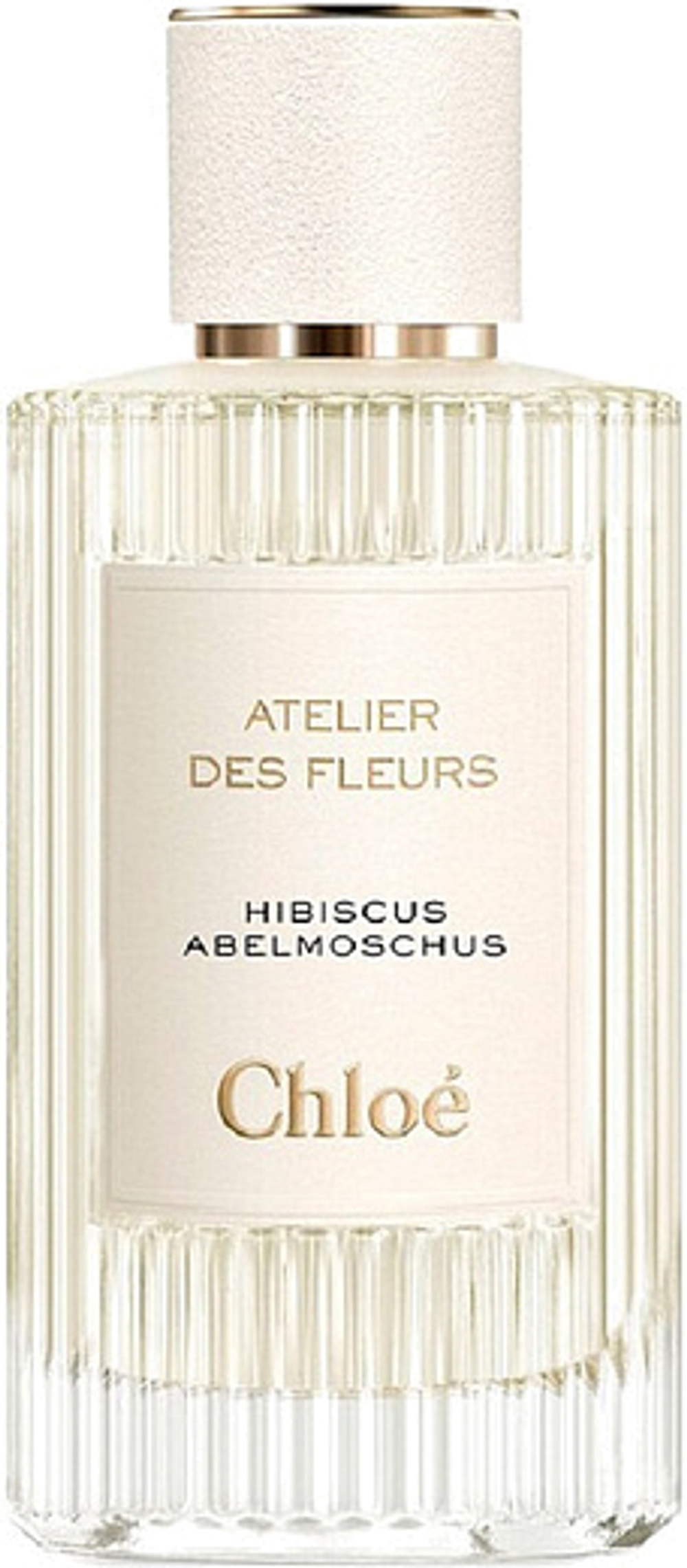 Chloe Atelier Des Fleurs Hibiscus Abelmoschus