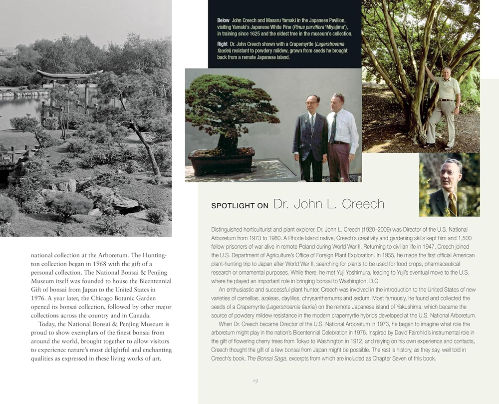 Bonsai and Penjing: Ambassadors of Peace & Beauty