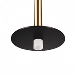 Подвесной светильник Loft it Reed 10358/830 Disk AB