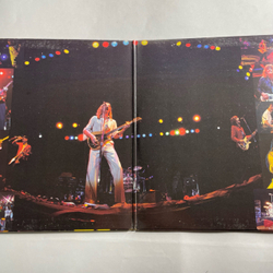 Винтажная виниловая пластинка LP Cheap Trick At Budokan (Канада 1979)