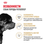 Royal Canin Rottweiller Adult Ротвейлер Эдалт Корм сухой для взрослых собак породы Ротвейлер от 18 месяцев 12кг