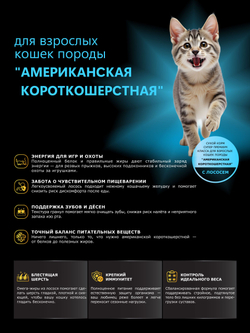 Корм сухой для взрослых кошек породы Американская короткошерстная, с лососем, 2 кг, QUATTRO