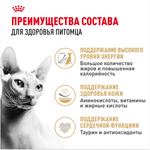 Royal Canin Sphynx Adult Сфинкс Эдалт Корм сухой сбалансированный для взрослых кошек породы Сфинкс от 12 месяцев 400г
