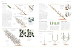 Pruning and Training: What, When, and How to Prune