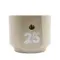 Telefunken M80 25th Anniversary Edition