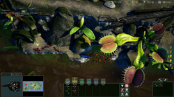 Empires of the Undergrowth (для ПК, цифровой код доступа)