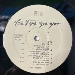 Винтажная виниловая пластинка LP Yardena Arazi You re My Land (Израиль 1984)