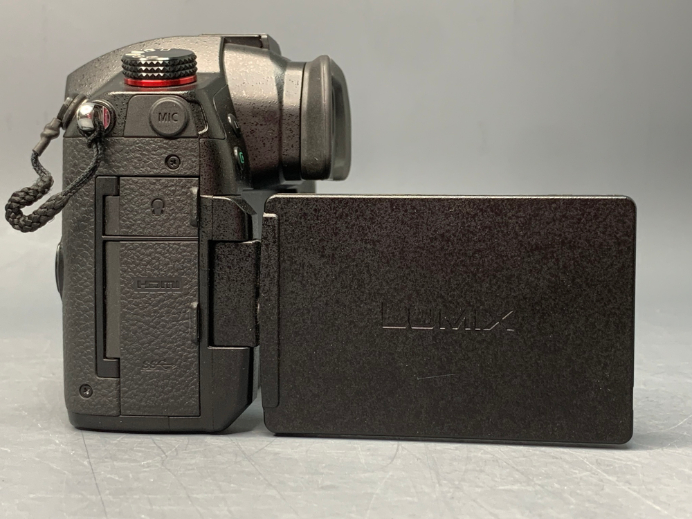 Panasonic Lumix DC-GH5 II Body 5680 кадров