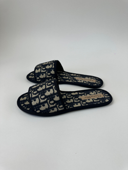 Шлепанцы Christian Dior Chez Moi