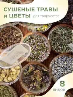 Хиты продаж