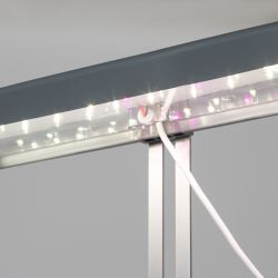 Настольный светильник для растений ЭРА FITO-20W-QLED-G полного спектра 20 Вт серый | Интерьерные фито светильники