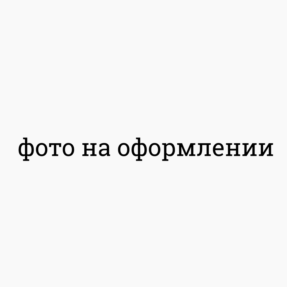 BISKVIT Мохито