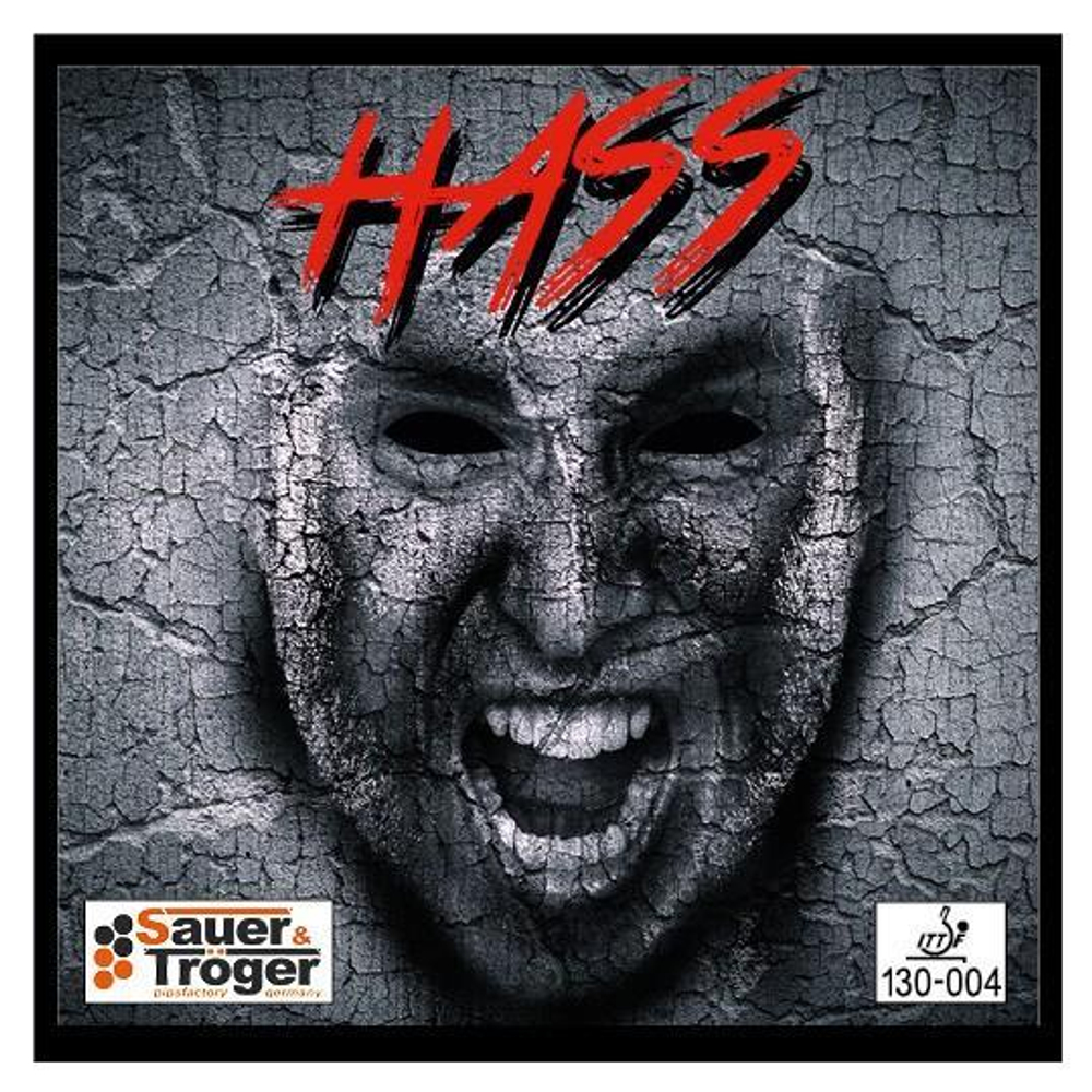 Sauer Tröger Hass