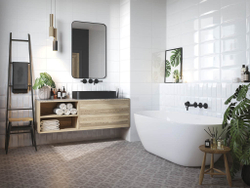 EVOLUTION