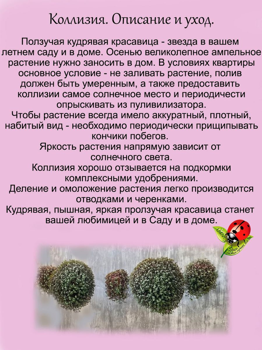 Коллизия ползучая