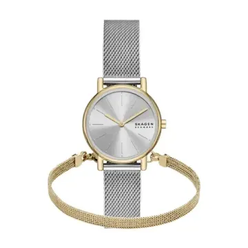 Женские часы Skagen SKW3153SET