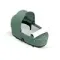 Детская коляска Cybex Mios 2 в 1 Leaf Green Rosegold