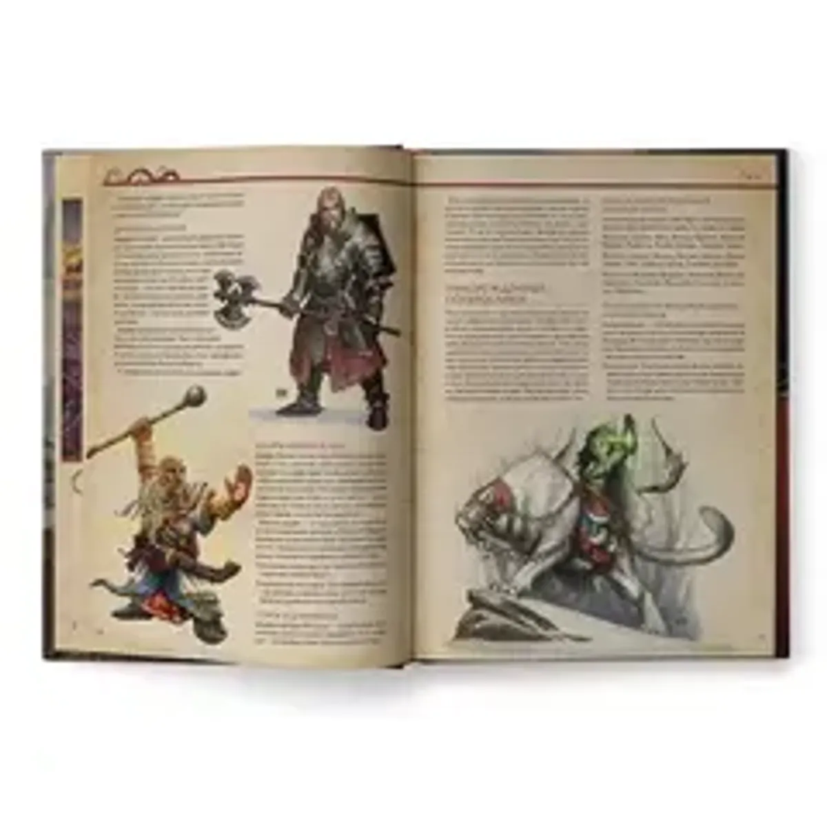 Ролевая игра. Midgard: Книга героев