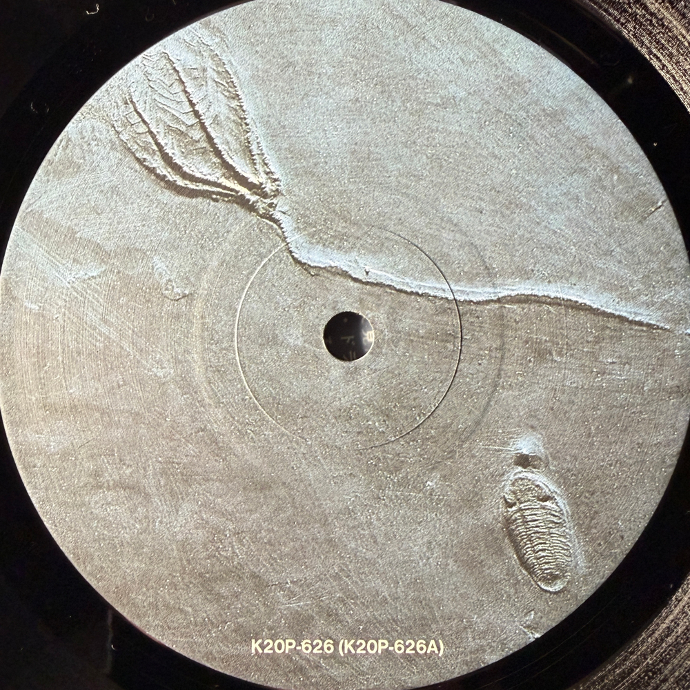 Earthshaker ‎– Live In Budohkan 2LP (Япония 1986г.)