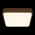 Накладной светильник Loft it Flims 10228/C