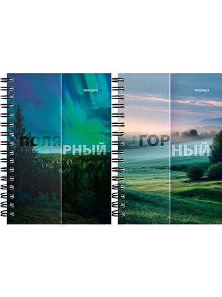 Блокнот А6, 120л, на гребне, клетка, Проф-Пресс Matte nature, фольга, твин.лак, ассорти, 1шт.