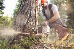 Бензопила Stihl MS 230 C-BE шина 40 см