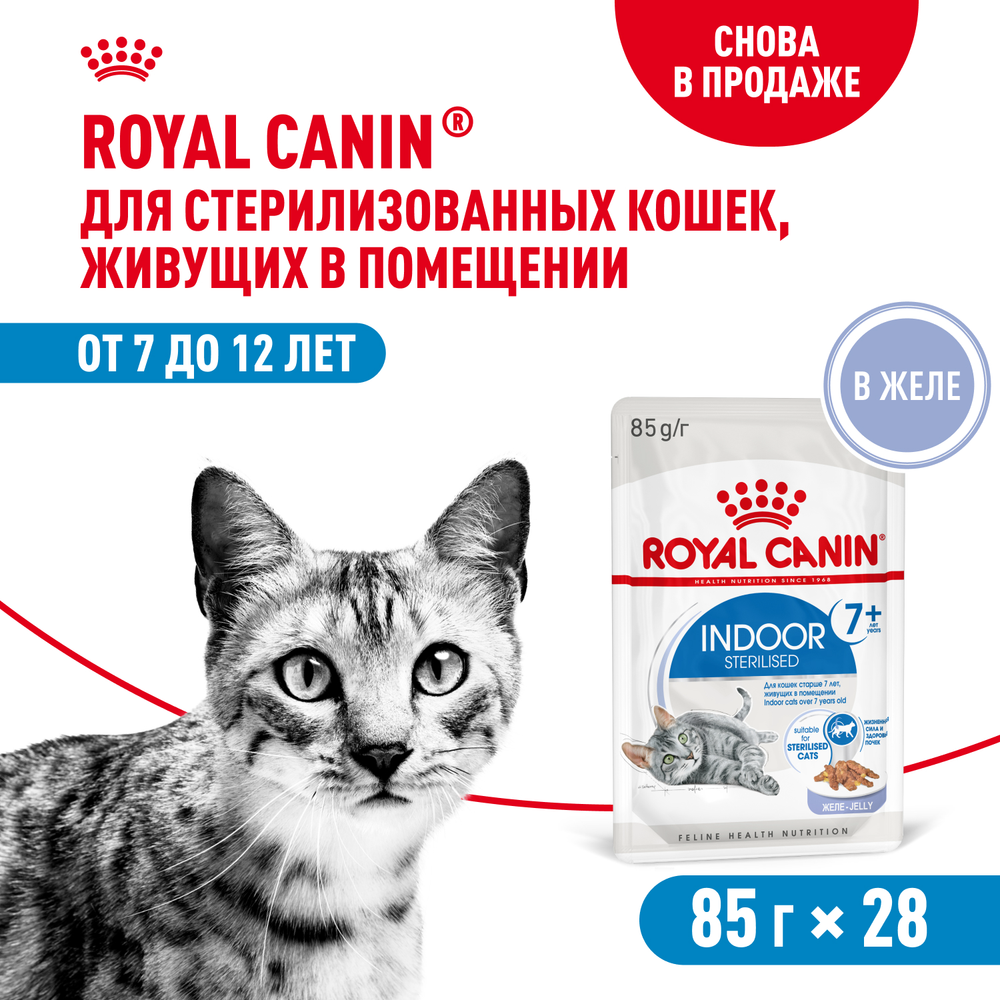 Royal Canin Indoor Sterilized 7+ Индор стерилайзд Корм влажный для стерилизованных кошек в возрасте от 7 до 12 лет живущих в помещении желе 85г