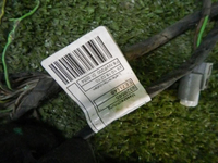 DSCN9399.jpg