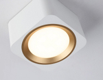 Накладной светильник Ambrella Light TN TN70831