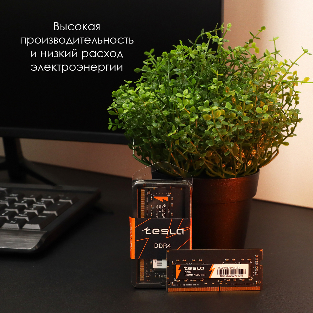Память ТЕСЛА (TESLA) DDR4 SODIMM 8Гб, 2666МГц, CL19, Retail, 1.2В (TSLD4NB-2666-CL19-8G)
