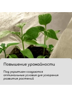 Укрывной материал спанбонд