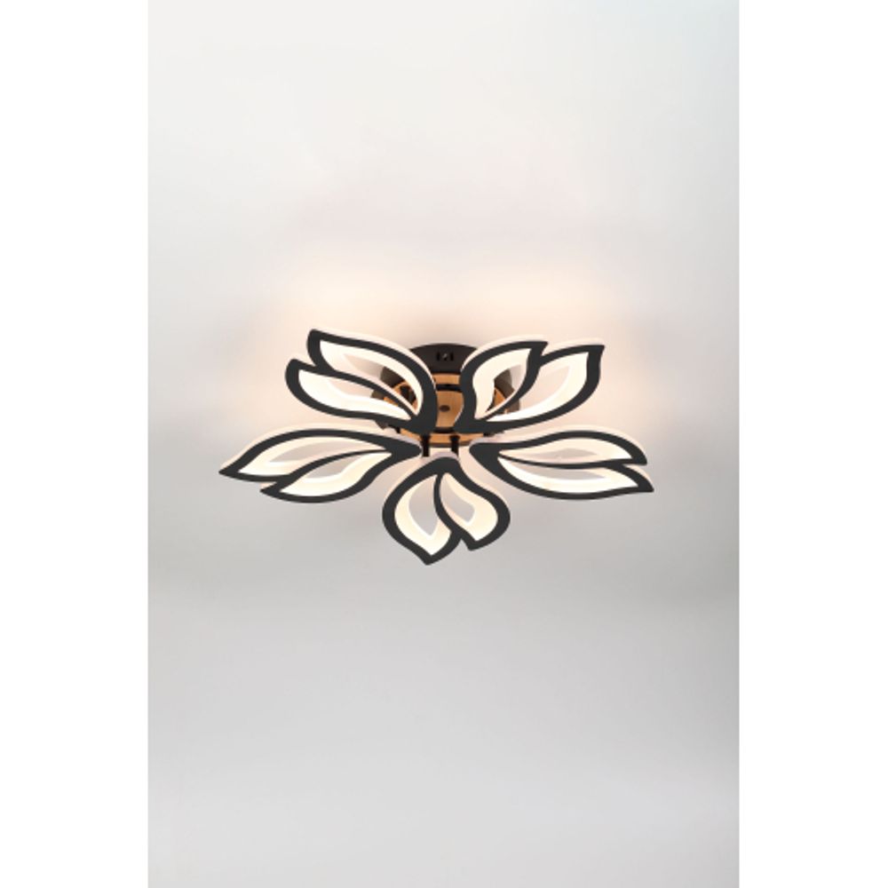 Светильник потолочный светодиодный Rivoli Lana 6195-733 LED 3000-6250К 100 Вт с пультом | Rivoli