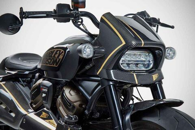Zard Карбоновый обтекатель передней фары "120TH" Harley Davidson Sportster S 1250 (2021+)