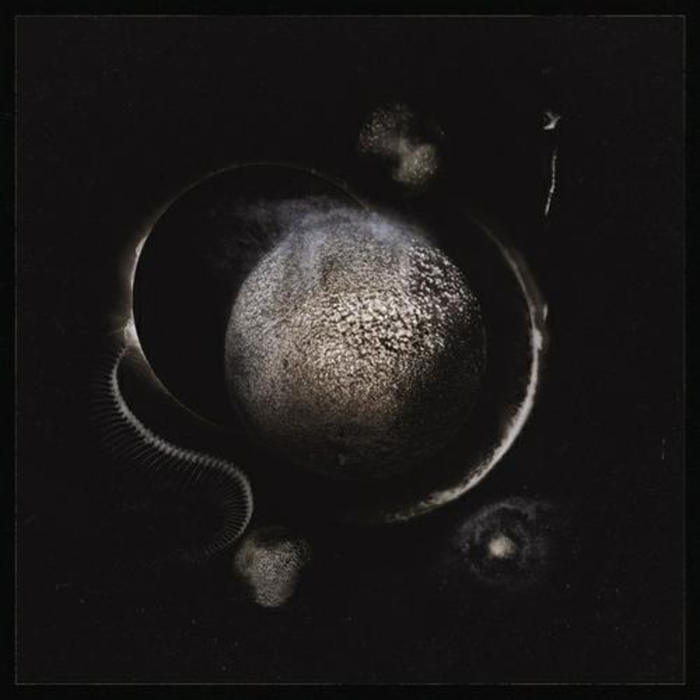 Enthroned / Cold Black Suns (RU)(CD)