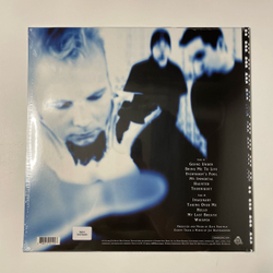 Виниловая пластинка LP Evanescence Fallen (Чехия)
