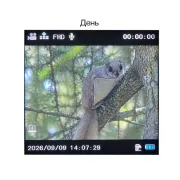 Монокуляр цифровой ночного видения Veber DigiView NM-02
