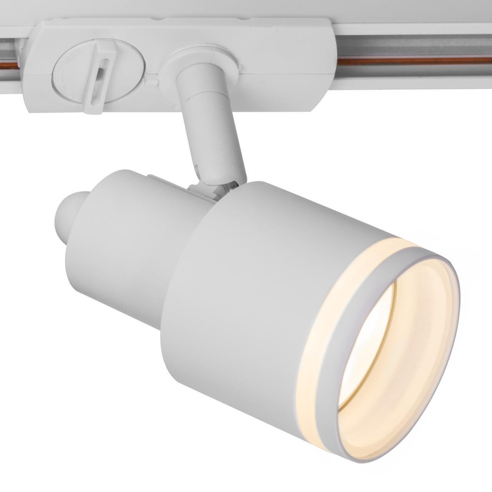 Однофазный трековый светильник Citilux Bruno CL565T10