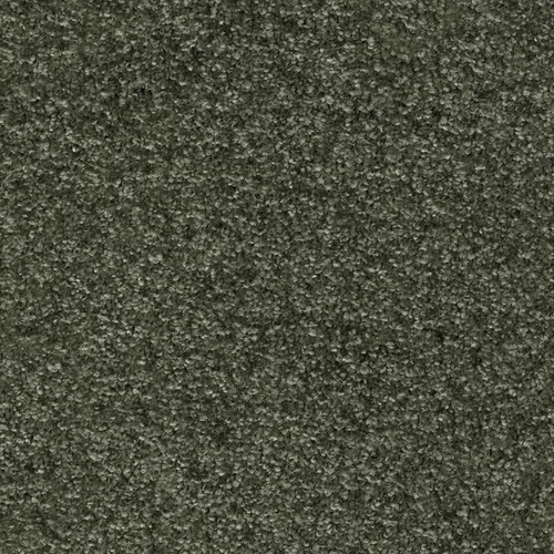 Ковровое покрытие AW Gaia Meridia 24