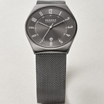 Женские наручные часы Skagen SKW3039