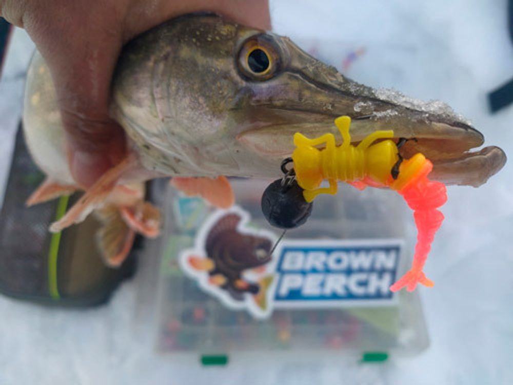 Kurva 70 мм - приманка Brown Perch (6 шт)