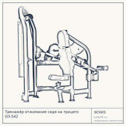 Тренажёр отжимание сидя на трицепс G3-S42 — от 448 000 ₽